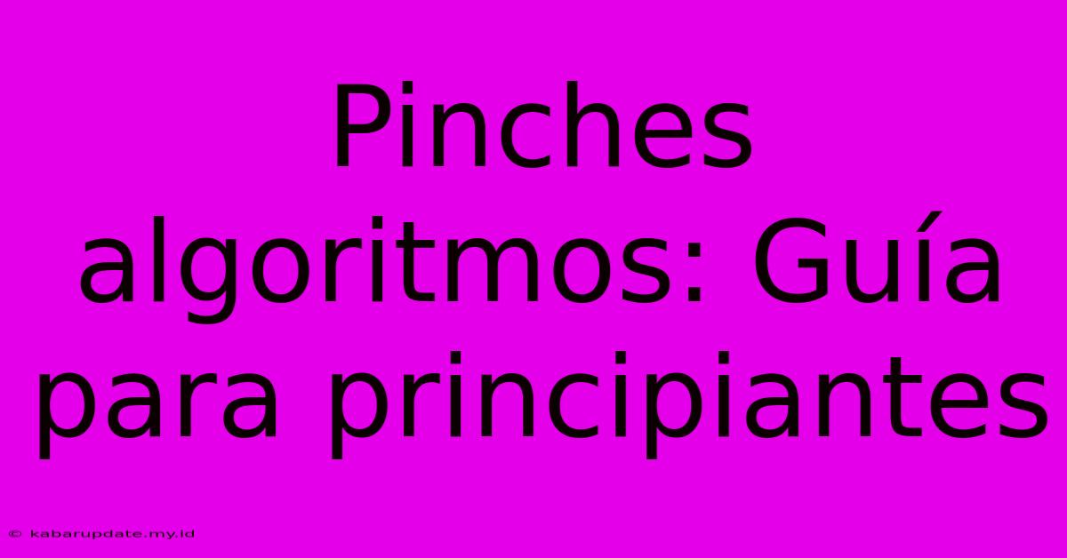 Pinches Algoritmos: Guía Para Principiantes