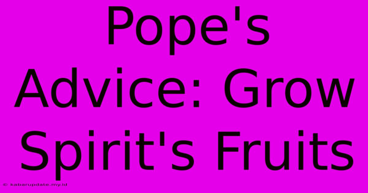 Pope's Advice: Grow Spirit's Fruits