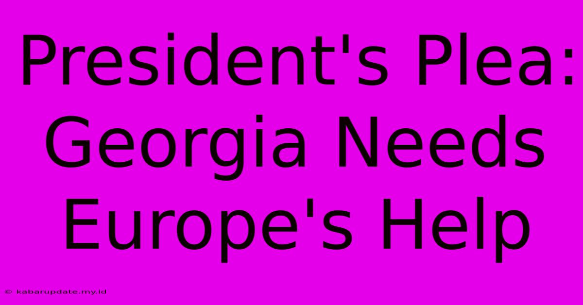 President's Plea: Georgia Needs Europe's Help