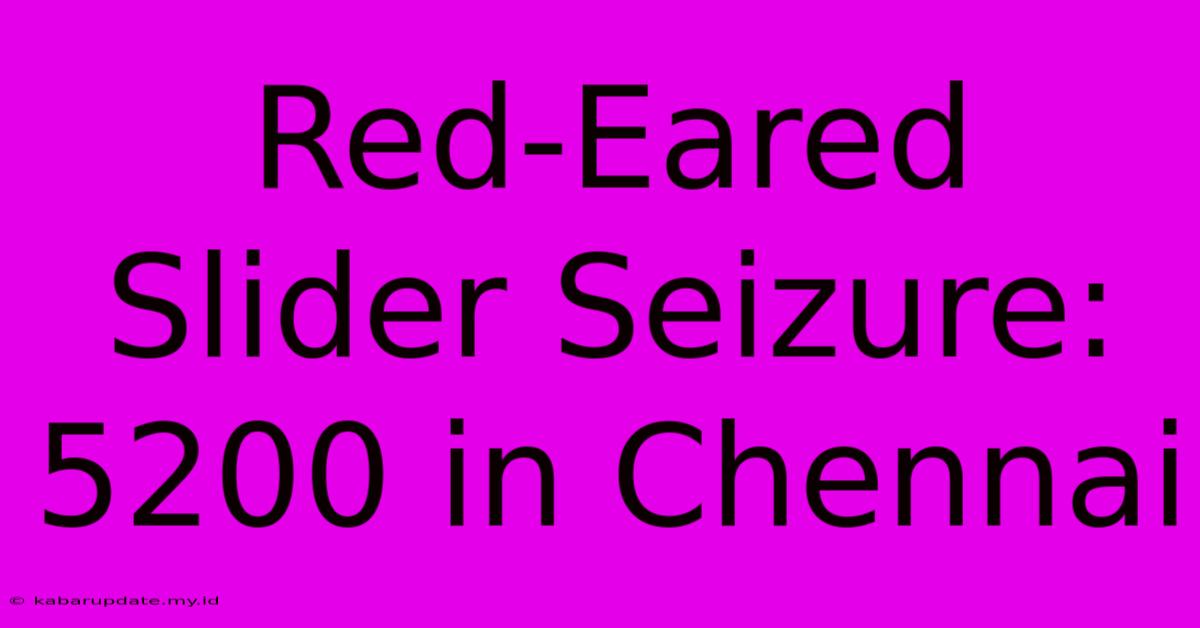 Red-Eared Slider Seizure: 5200 In Chennai