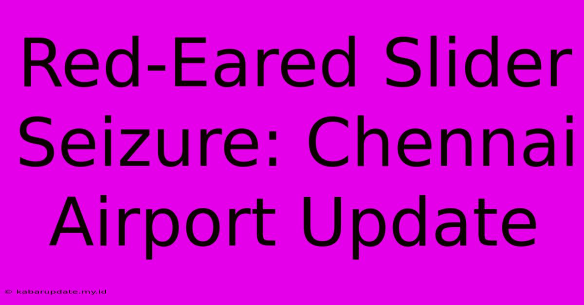 Red-Eared Slider Seizure: Chennai Airport Update