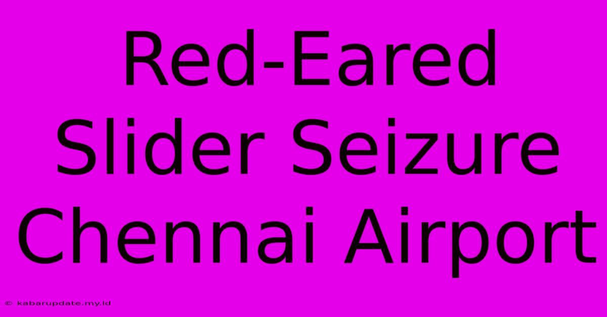 Red-Eared Slider Seizure Chennai Airport