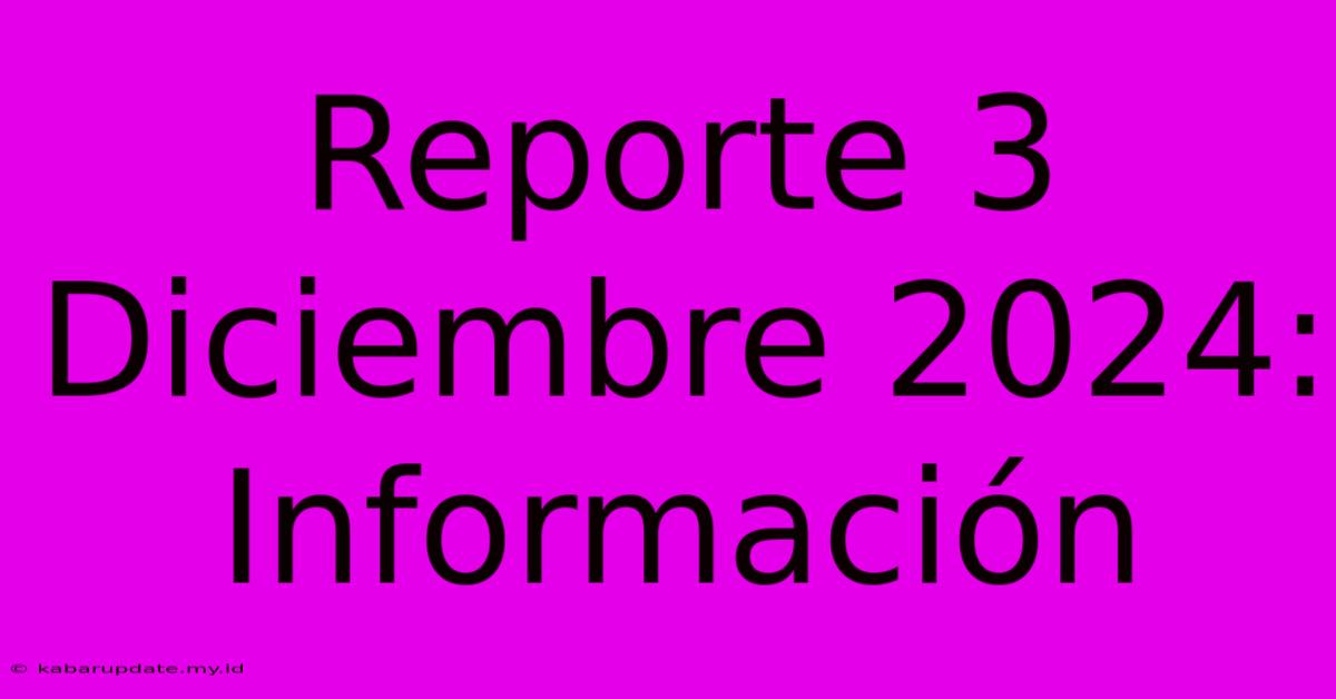 Reporte 3 Diciembre 2024: Información