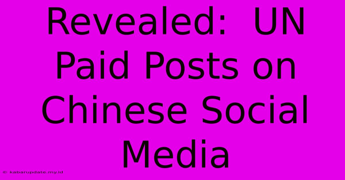 Revealed:  UN Paid Posts On Chinese Social Media