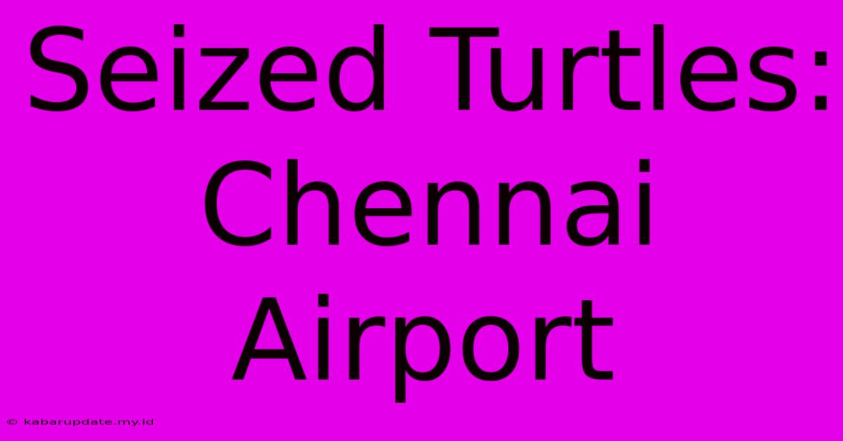 Seized Turtles: Chennai Airport