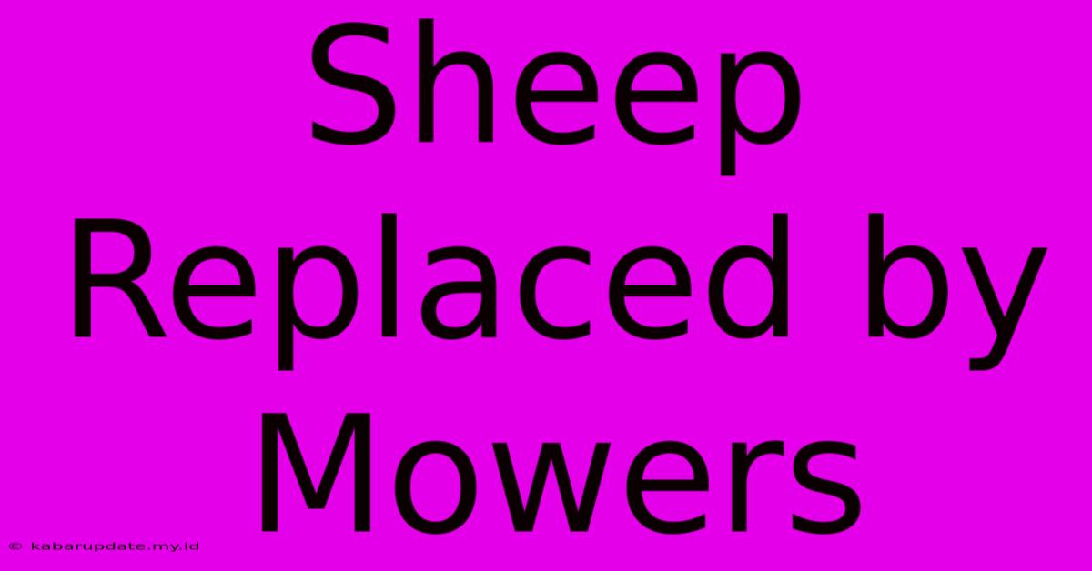 Sheep Replaced By Mowers