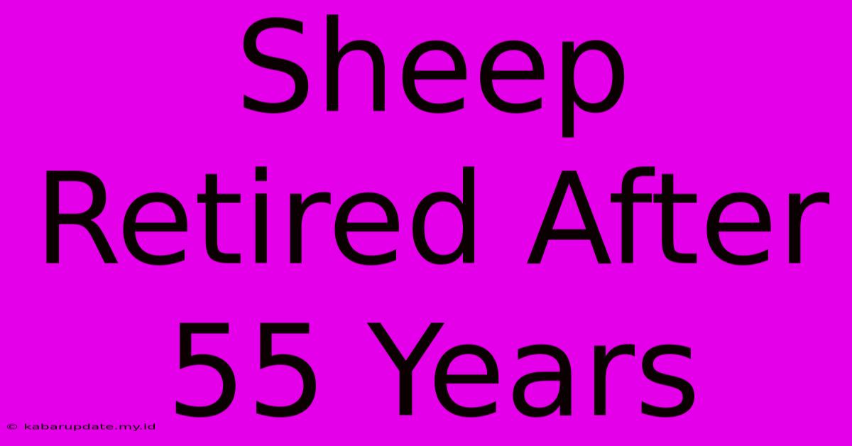 Sheep Retired After 55 Years