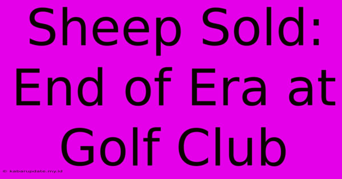 Sheep Sold: End Of Era At Golf Club