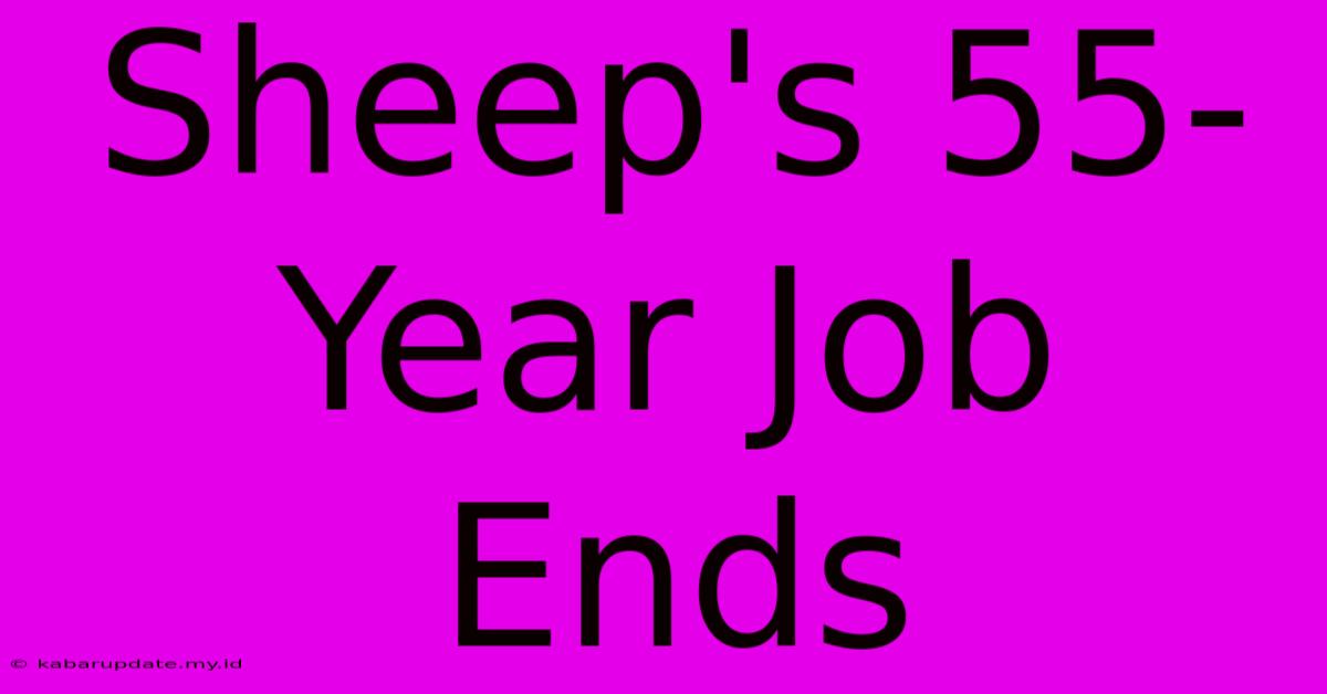 Sheep's 55-Year Job Ends