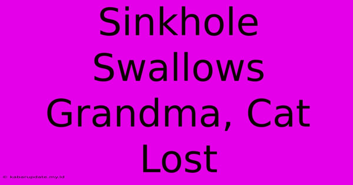 Sinkhole Swallows Grandma, Cat Lost