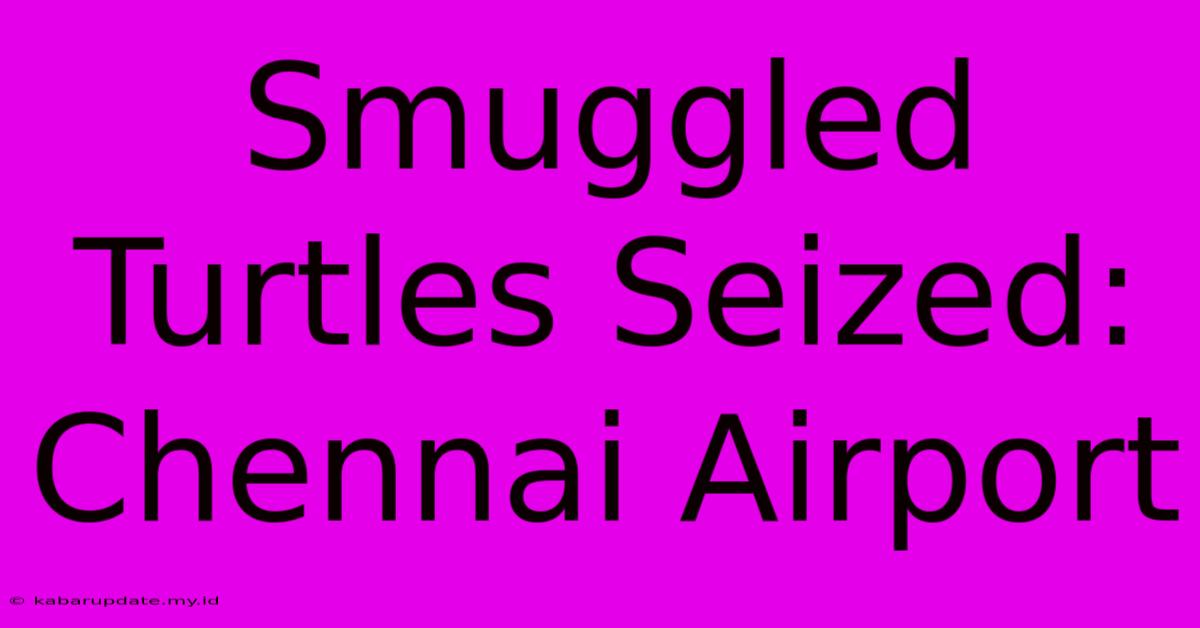 Smuggled Turtles Seized: Chennai Airport