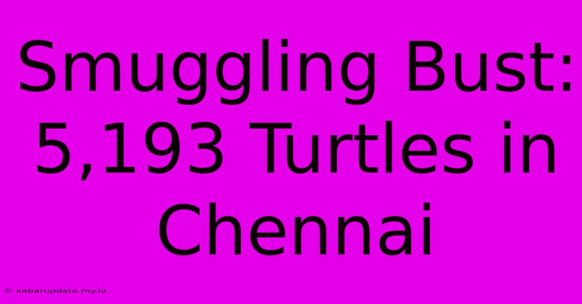 Smuggling Bust: 5,193 Turtles In Chennai