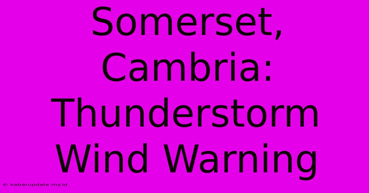 Somerset, Cambria: Thunderstorm Wind Warning