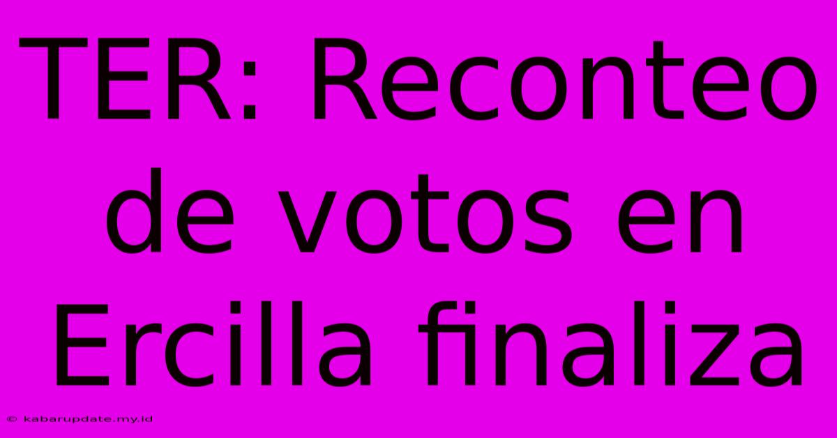 TER: Reconteo De Votos En Ercilla Finaliza