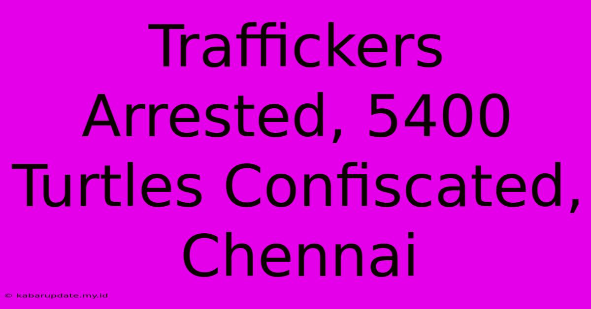 Traffickers Arrested, 5400 Turtles Confiscated, Chennai