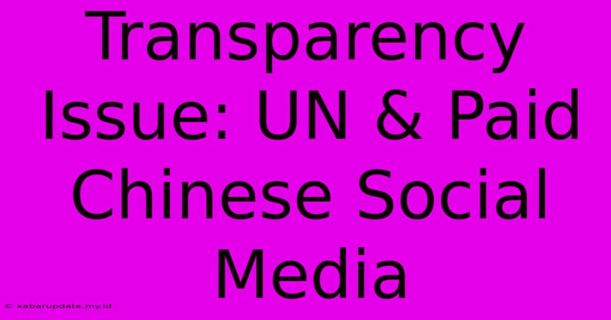 Transparency Issue: UN & Paid Chinese Social Media