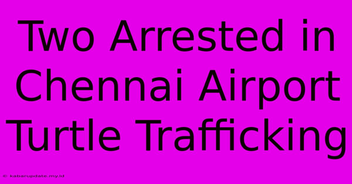 Two Arrested In Chennai Airport Turtle Trafficking