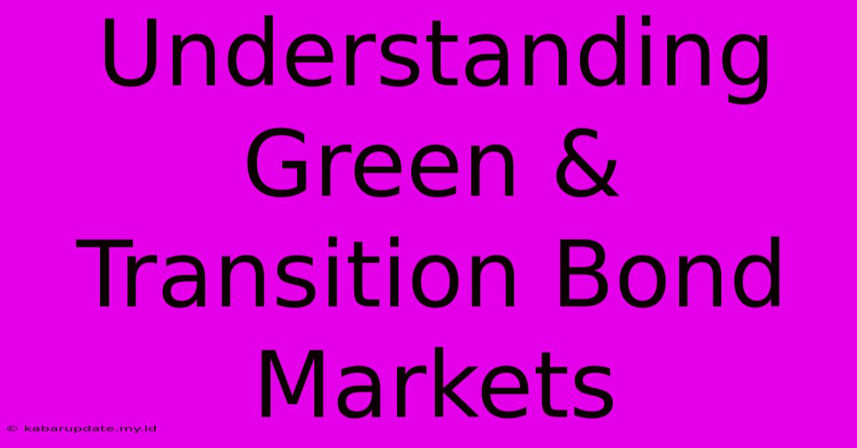 Understanding Green & Transition Bond Markets