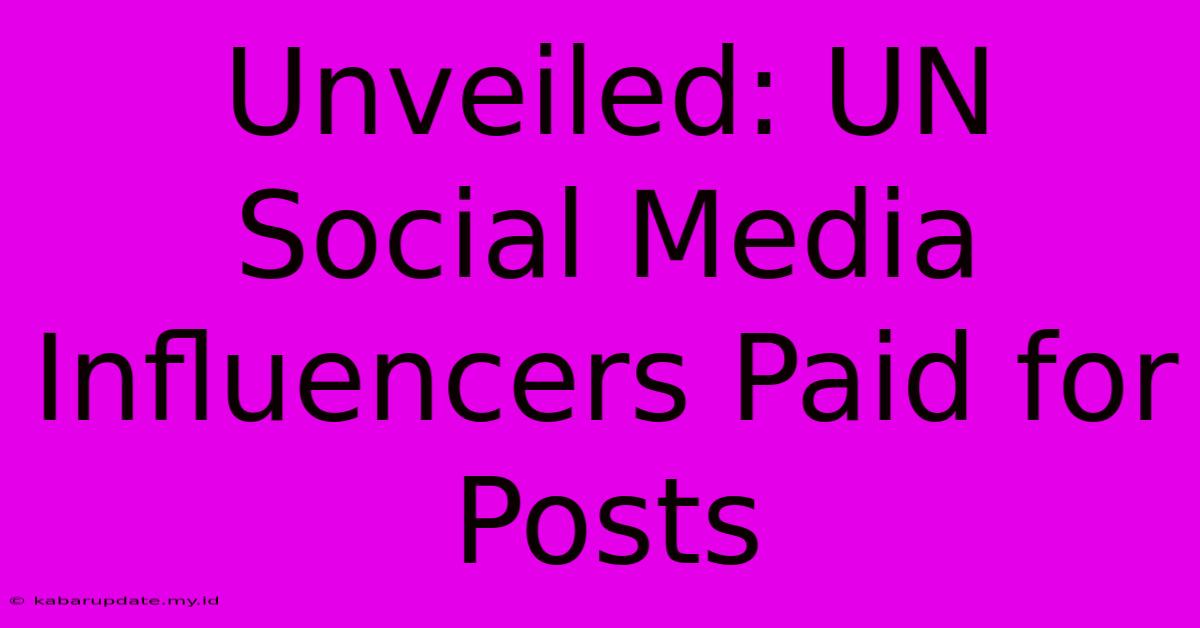 Unveiled: UN Social Media Influencers Paid For Posts