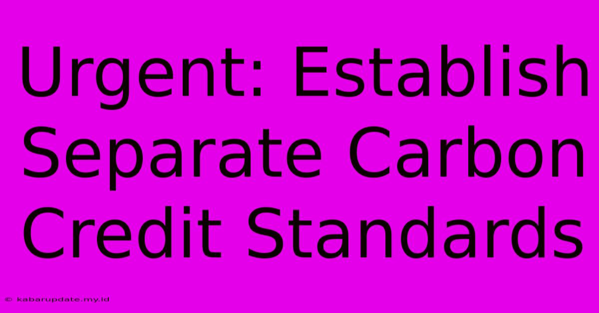 Urgent: Establish Separate Carbon Credit Standards