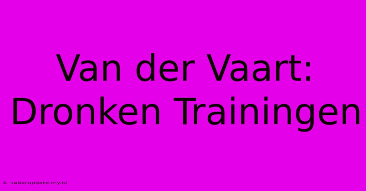 Van Der Vaart: Dronken Trainingen