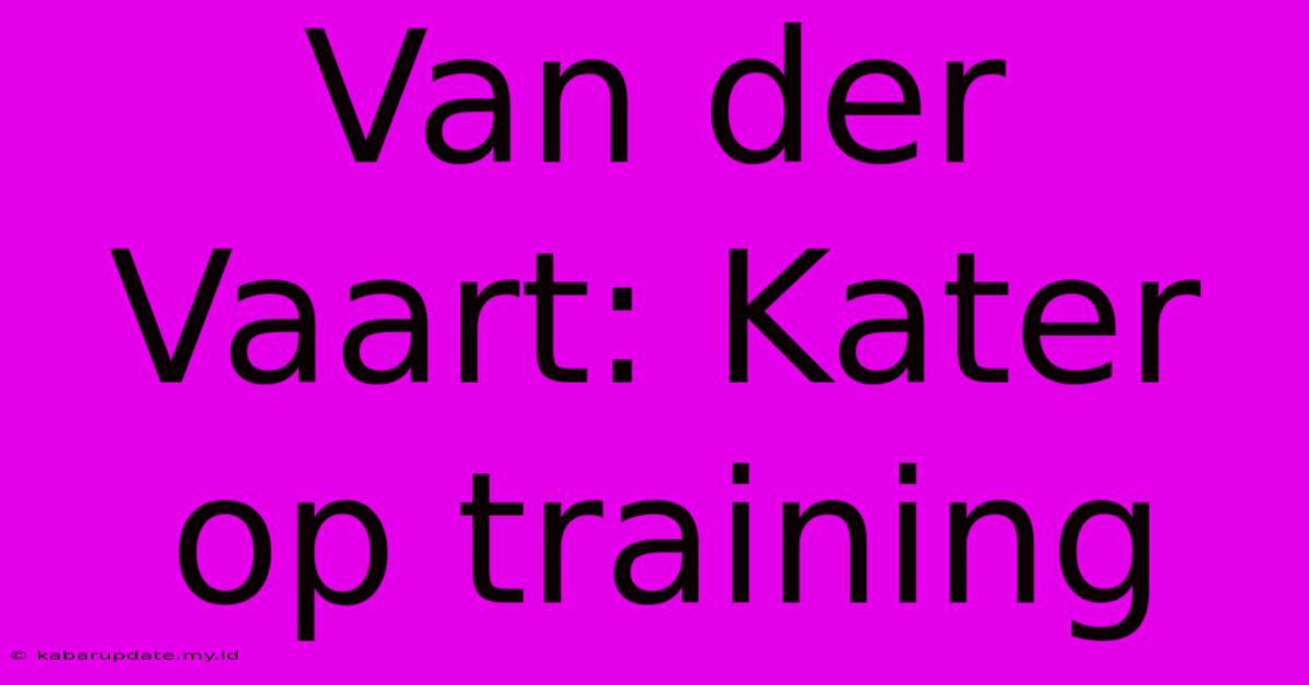 Van Der Vaart: Kater Op Training