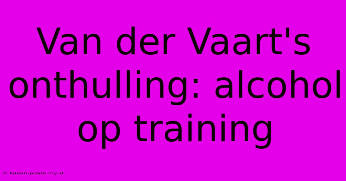 Van Der Vaart's Onthulling: Alcohol Op Training