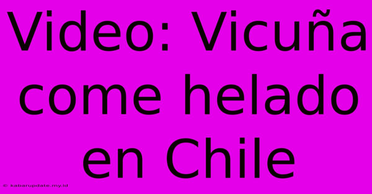 Video: Vicuña Come Helado En Chile