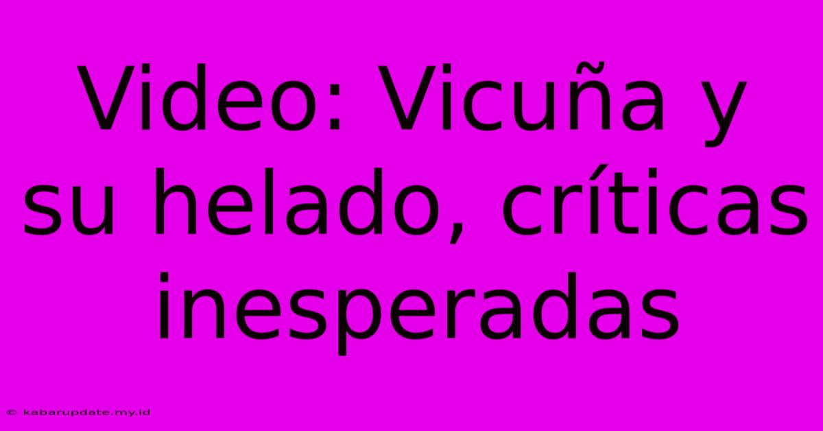 Video: Vicuña Y Su Helado, Críticas Inesperadas