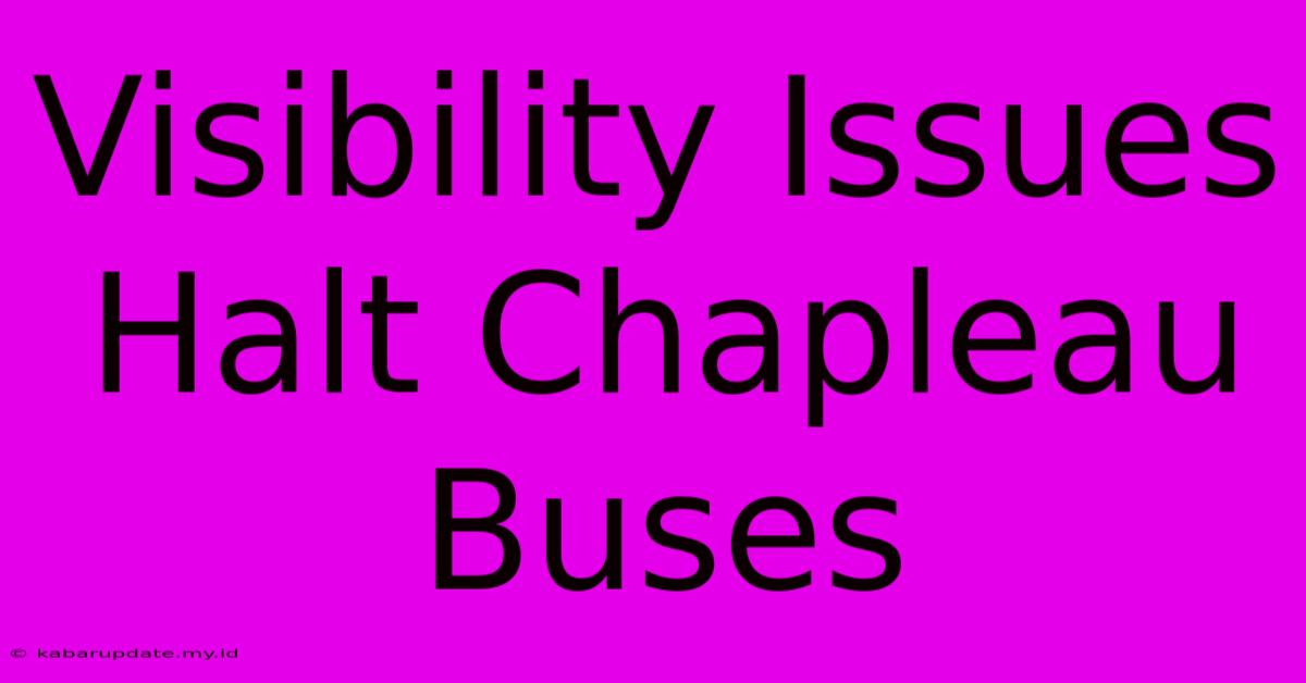 Visibility Issues Halt Chapleau Buses