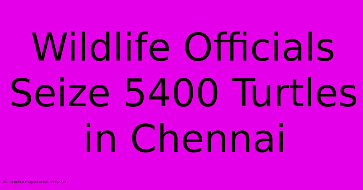 Wildlife Officials Seize 5400 Turtles In Chennai