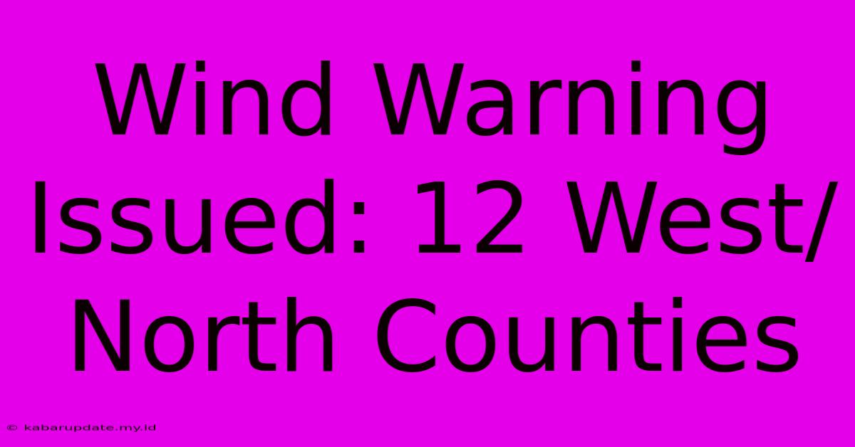 Wind Warning Issued: 12 West/North Counties