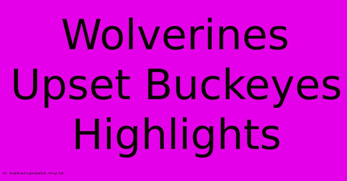 Wolverines Upset Buckeyes Highlights